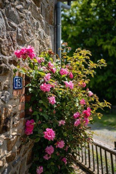 Holiday home La Vallee Des Elements